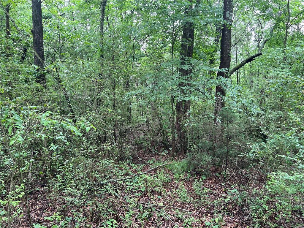 2895 Pine Chapel Road, Resaca, Georgia image 15