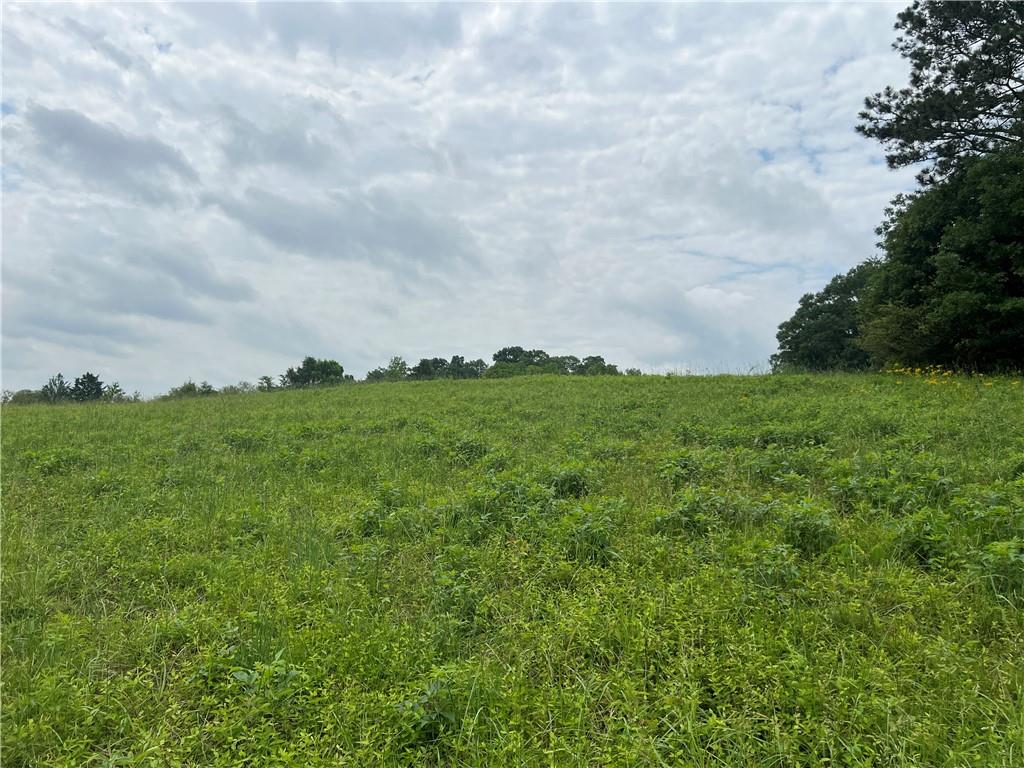 2895 Pine Chapel Road, Resaca, Georgia image 7