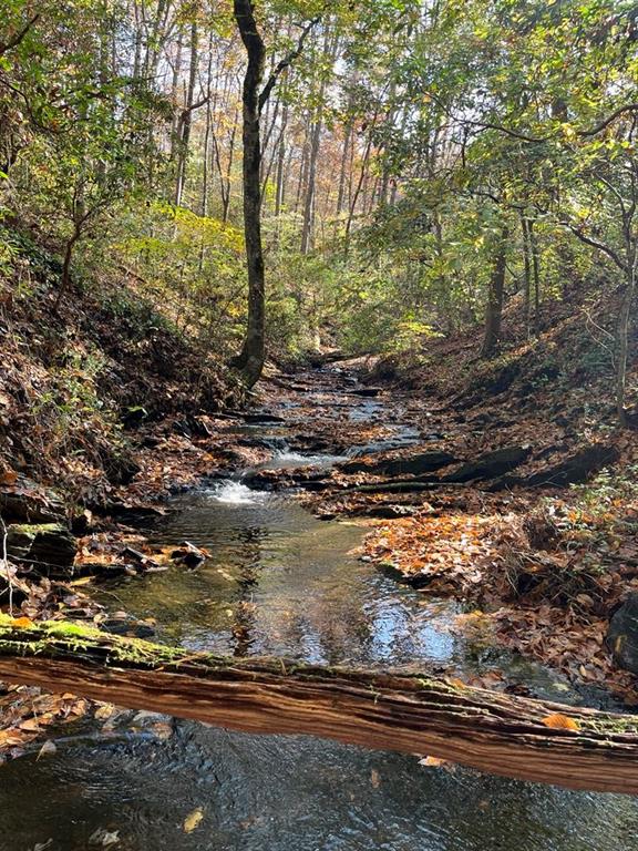 Highlands Valley Way Way, Ellijay, Georgia image 1