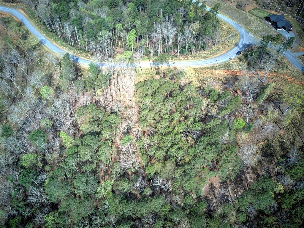259 High River Road, Ellijay, Georgia image 47