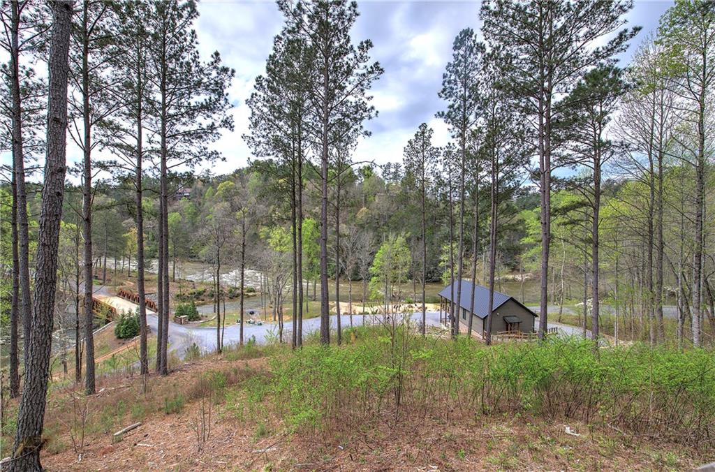 259 High River Road, Ellijay, Georgia image 35