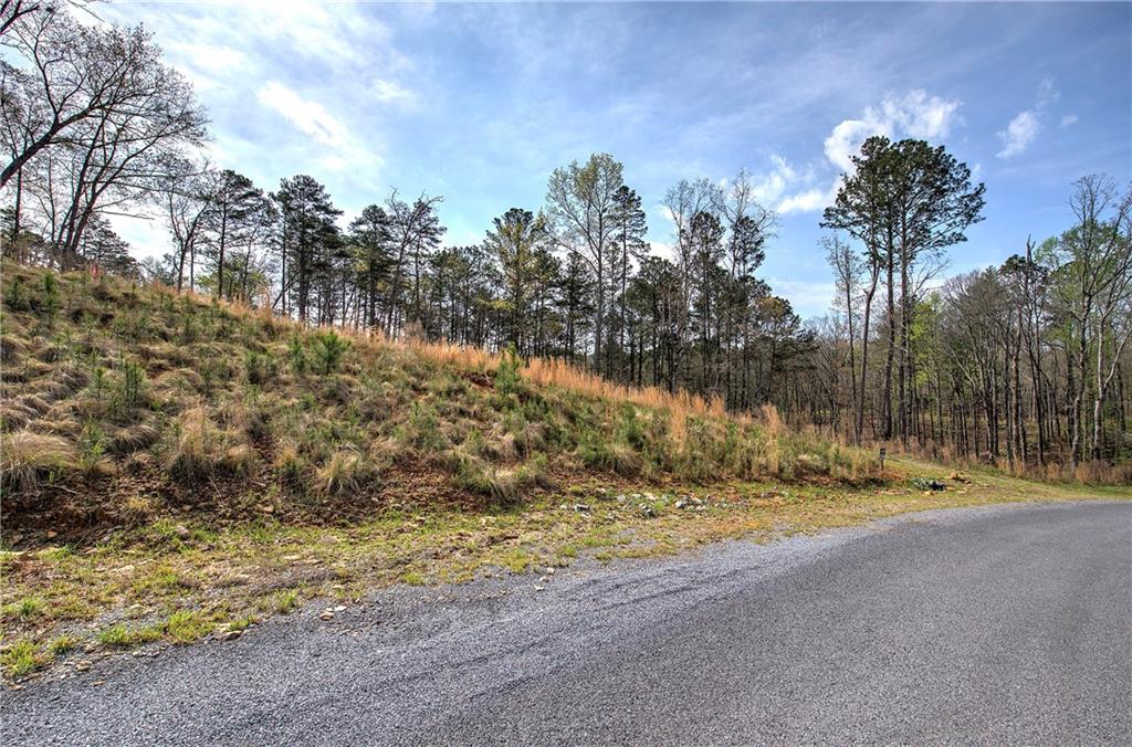259 High River Road, Ellijay, Georgia image 16
