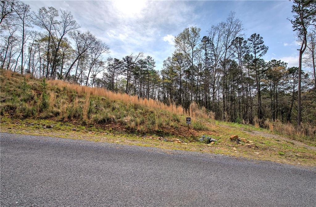 259 High River Road, Ellijay, Georgia image 14