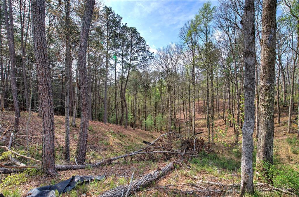 259 High River Road, Ellijay, Georgia image 3