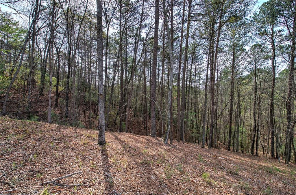 259 High River Road, Ellijay, Georgia image 12