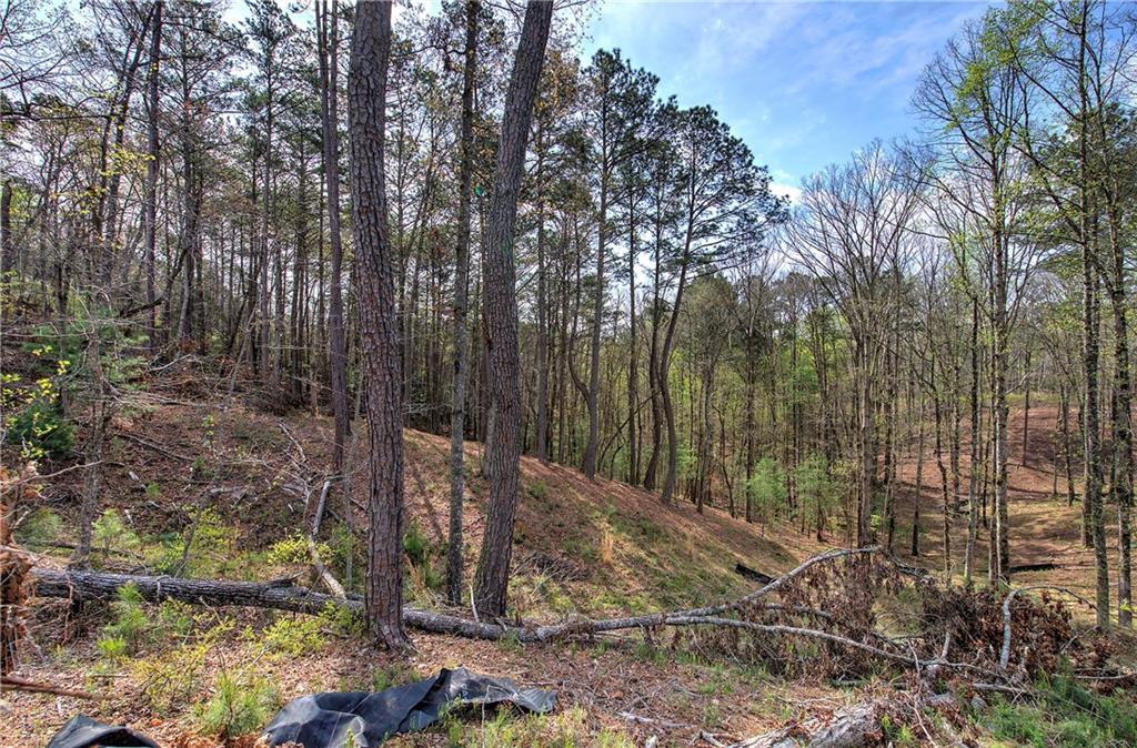 259 High River Road, Ellijay, Georgia image 4