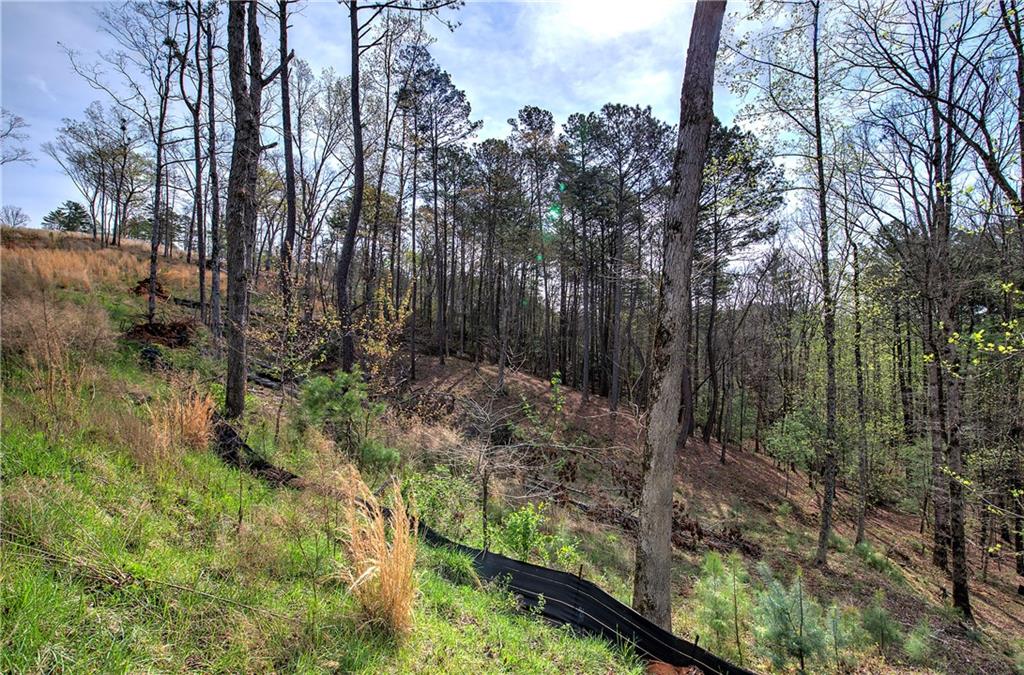 259 High River Road, Ellijay, Georgia image 7