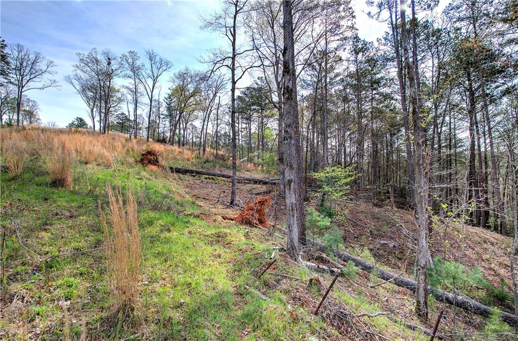 259 High River Road, Ellijay, Georgia image 2