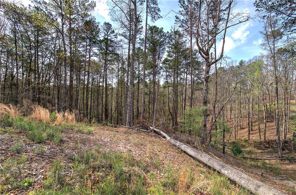 259 High River Road, Ellijay, Georgia image 10