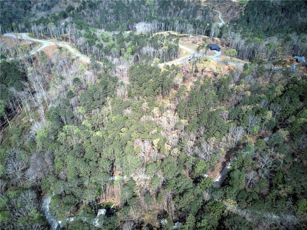 259 High River Road, Ellijay, Georgia image 50