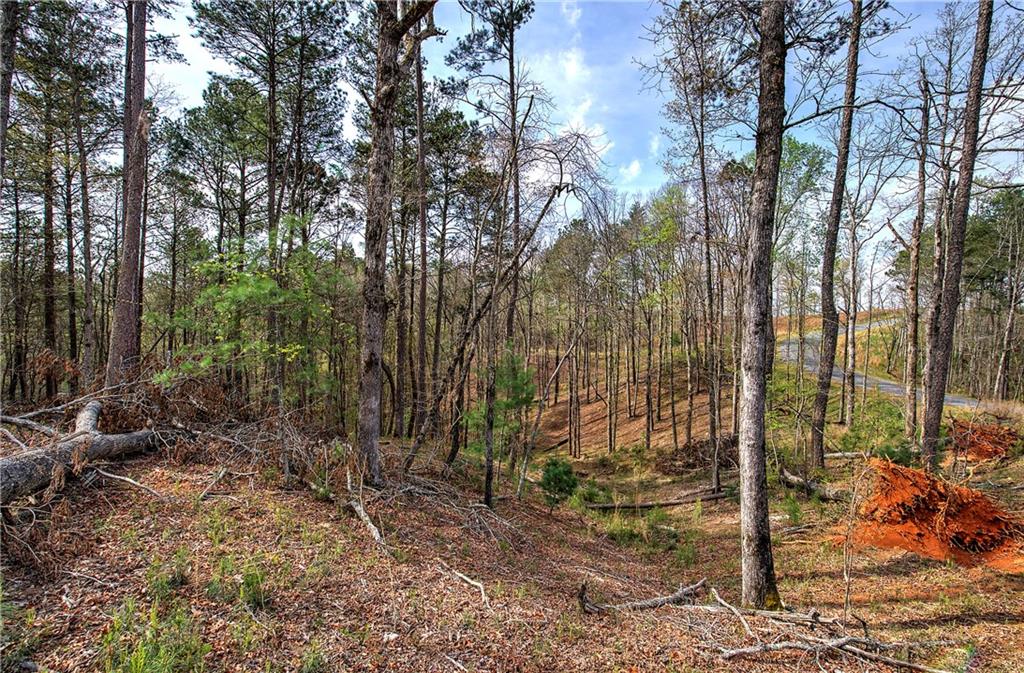 259 High River Road, Ellijay, Georgia image 13