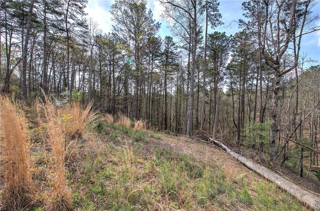 259 High River Road, Ellijay, Georgia image 9