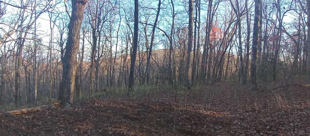 00 Lower Sassafras Parkway