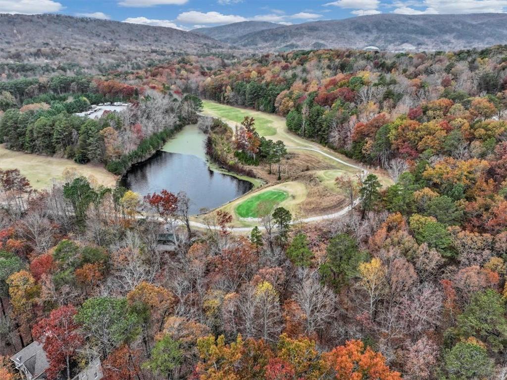 Lake Arrowhead - Residential