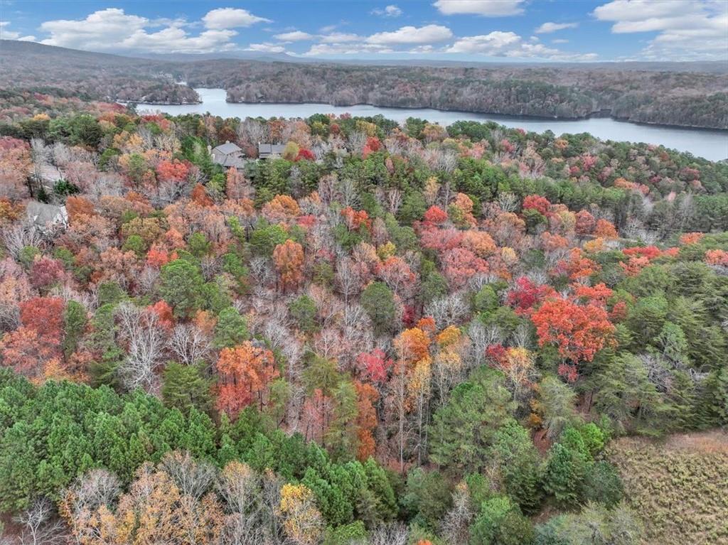 Lake Arrowhead - Residential