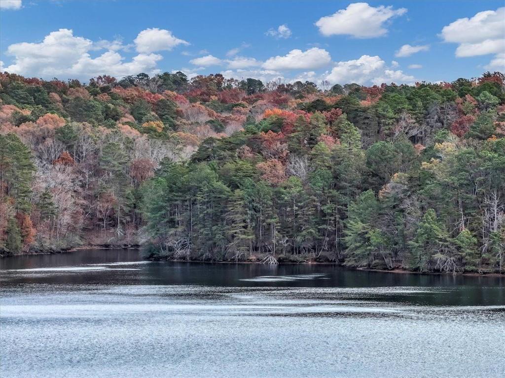 Lake Arrowhead - Residential