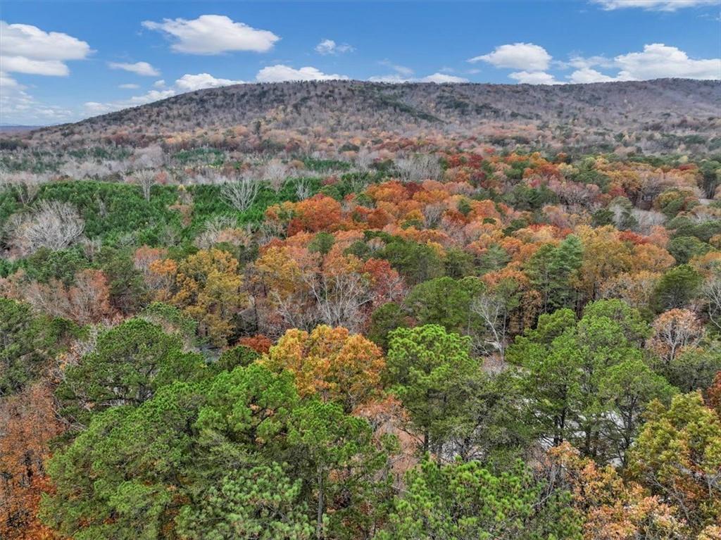 Lake Arrowhead - Residential