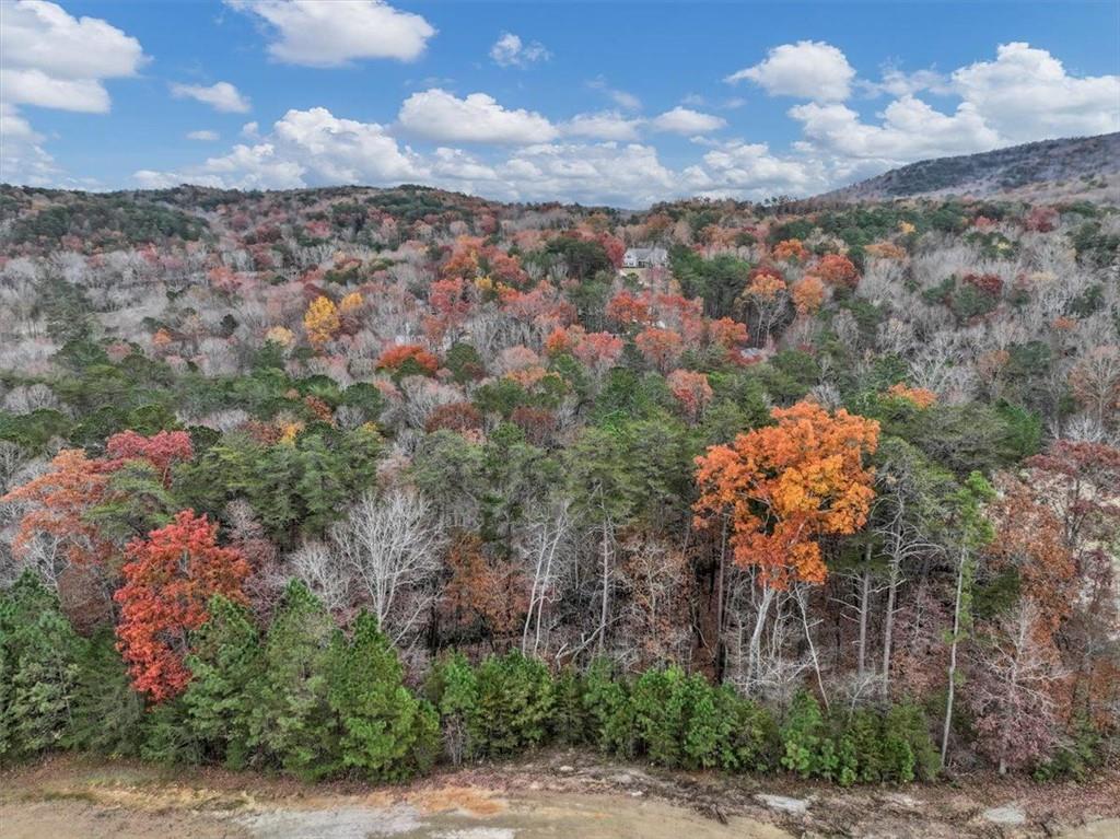 Lake Arrowhead - Residential