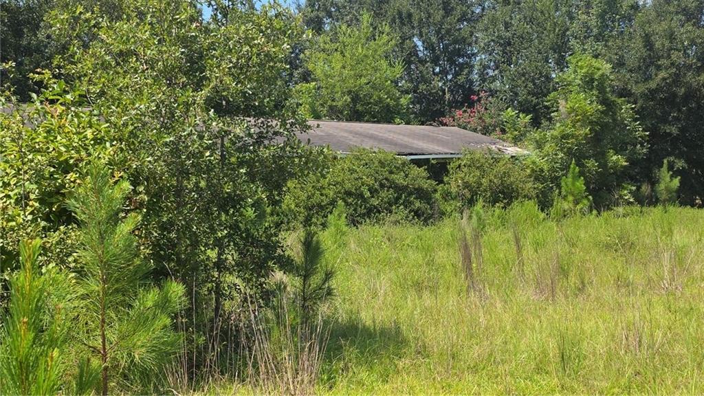 159 Grimsley Road