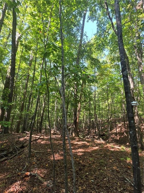 Vacant Land For Sale - Browntown Road<br/> Rockmart, GA 30153