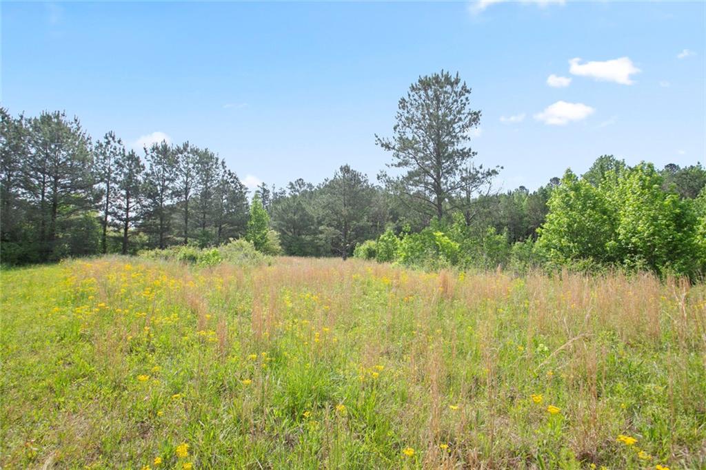 3Acres Satcher Rd