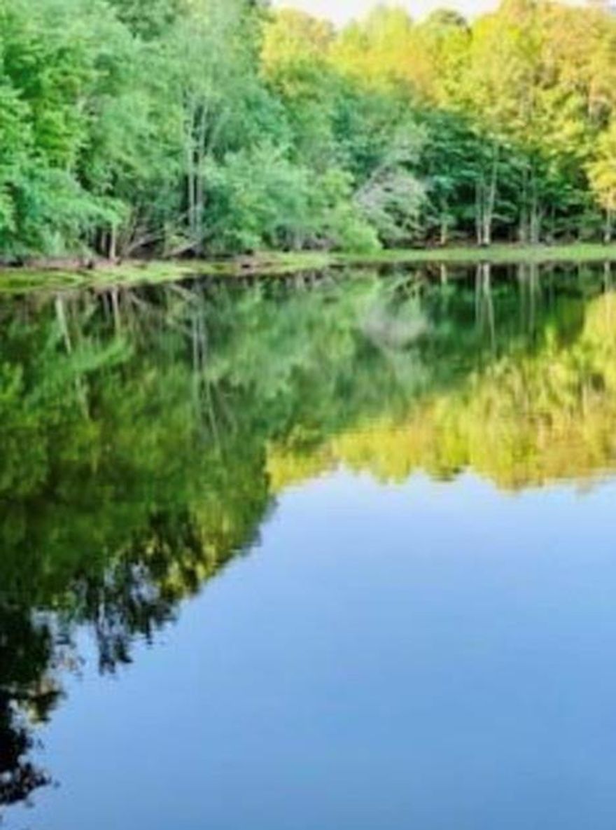 This property boasts a tranquil, spring-fed lake—fully stocked and nestled beside scenic Lake Horton—offering a peaceful, private retreat. Ideally situated just minutes from Trillith Studios and Peachtree City, and a short drive to historic Senoia, it provides both convenience and charm.