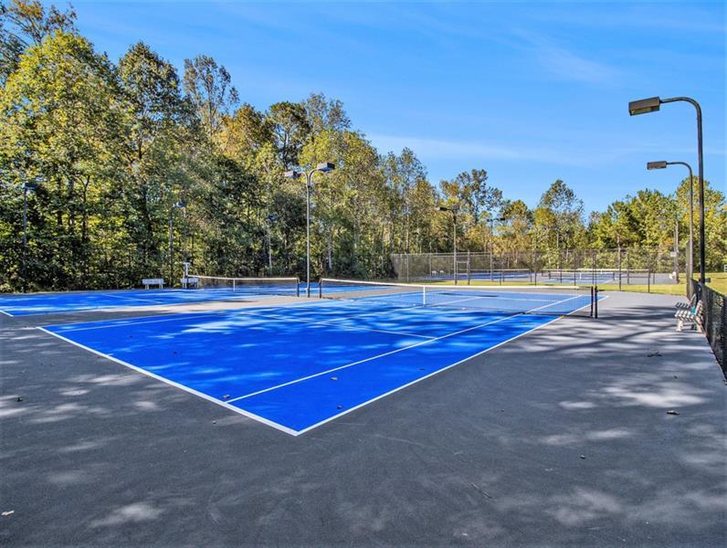 8030 Stiner Grove, Ball Ground, Georgia image 47
