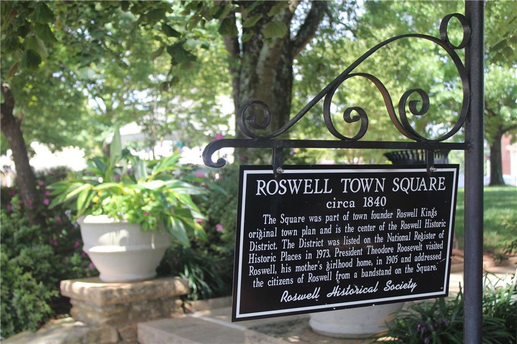 50 Maple Street, Roswell, Georgia image 42