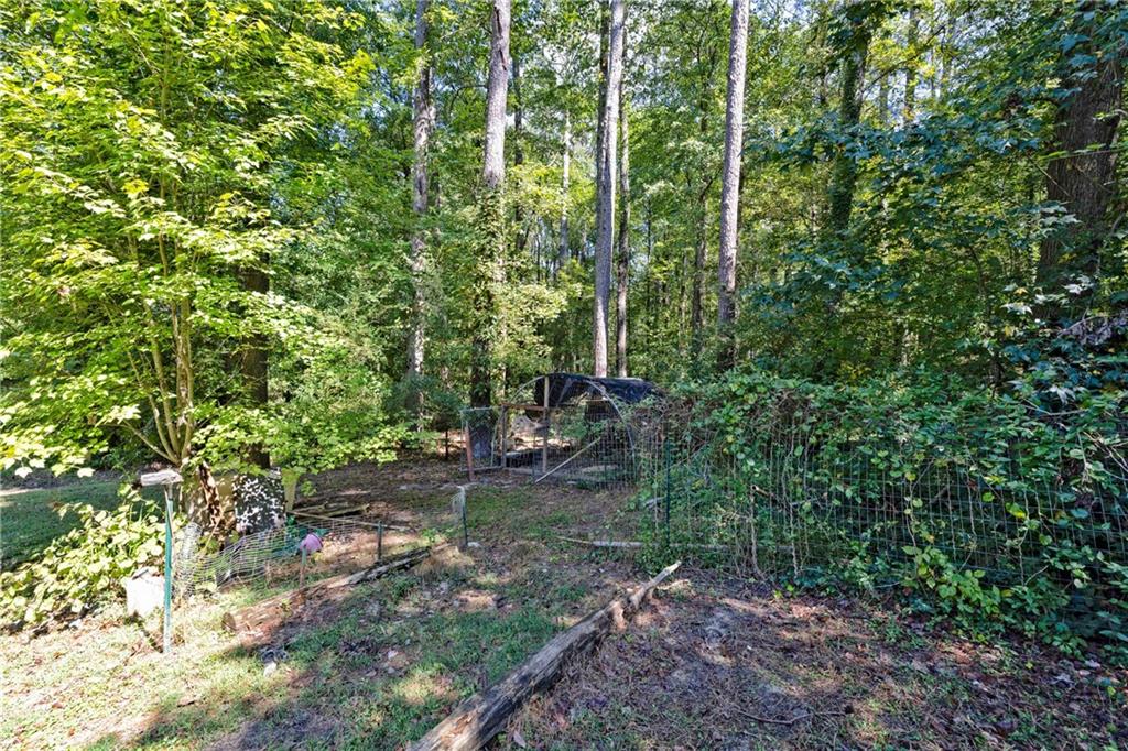 121 Frances Drive, Dallas, Georgia image 27