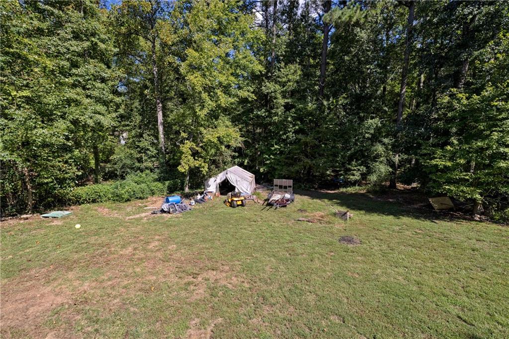 121 Frances Drive, Dallas, Georgia image 23