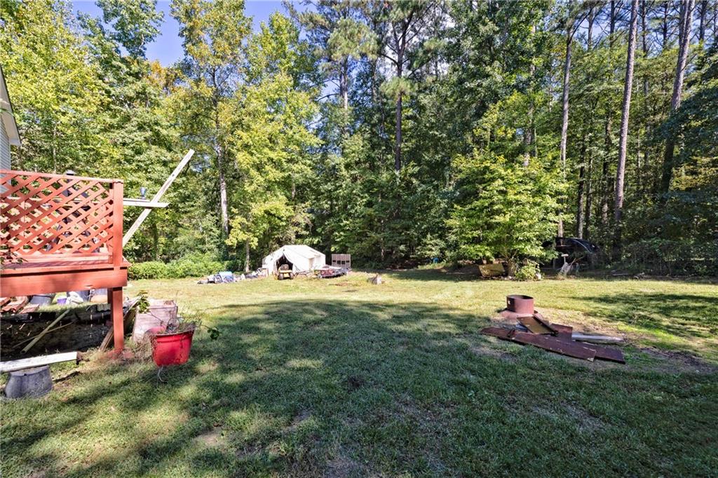 121 Frances Drive, Dallas, Georgia image 25