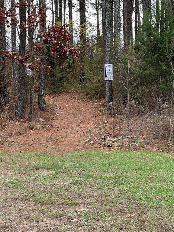 45 Eagle Glen Drive, Cartersville, Georgia image 44