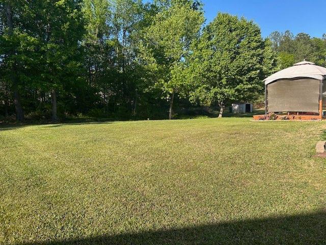 213 Tyler Trace, Griffin, Georgia image 17