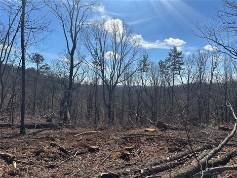 Vacant Land For Sale - 500 Chapman Ridge Lane<br/> Dahlonega, GA 30533
