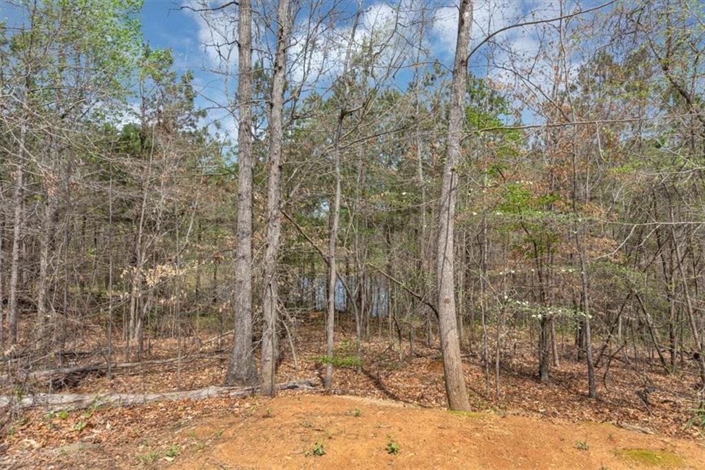 5780 Crestwick Way, Cumming, Georgia image 42