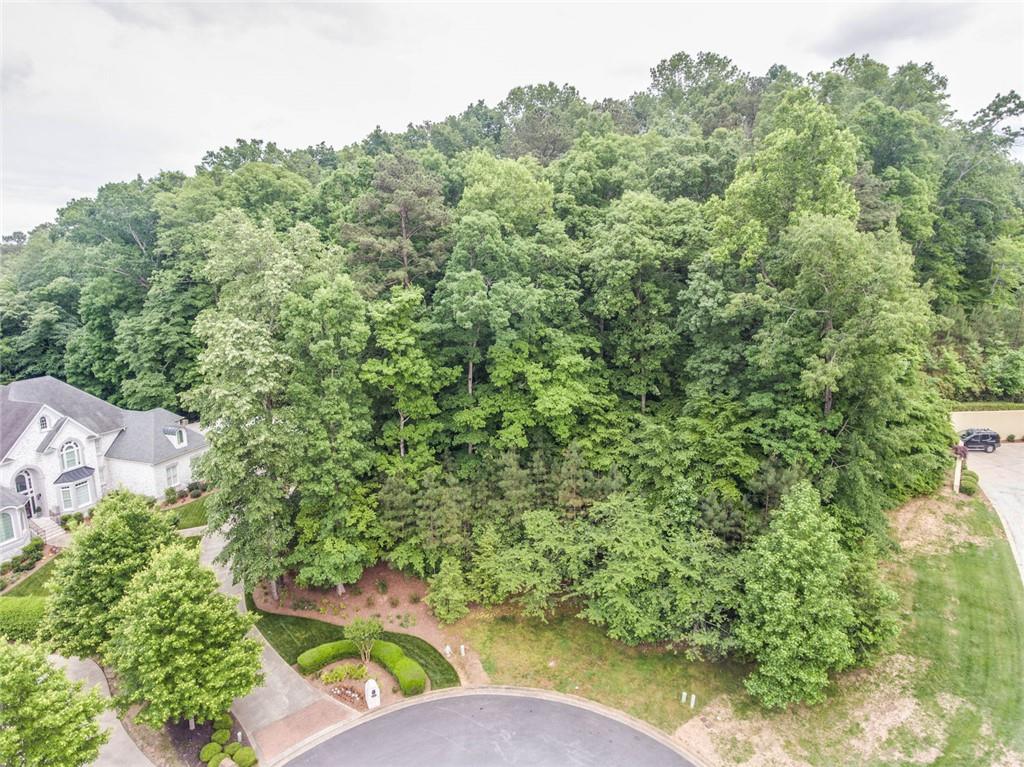 383 Caruso Court, Atlanta, Georgia image 3