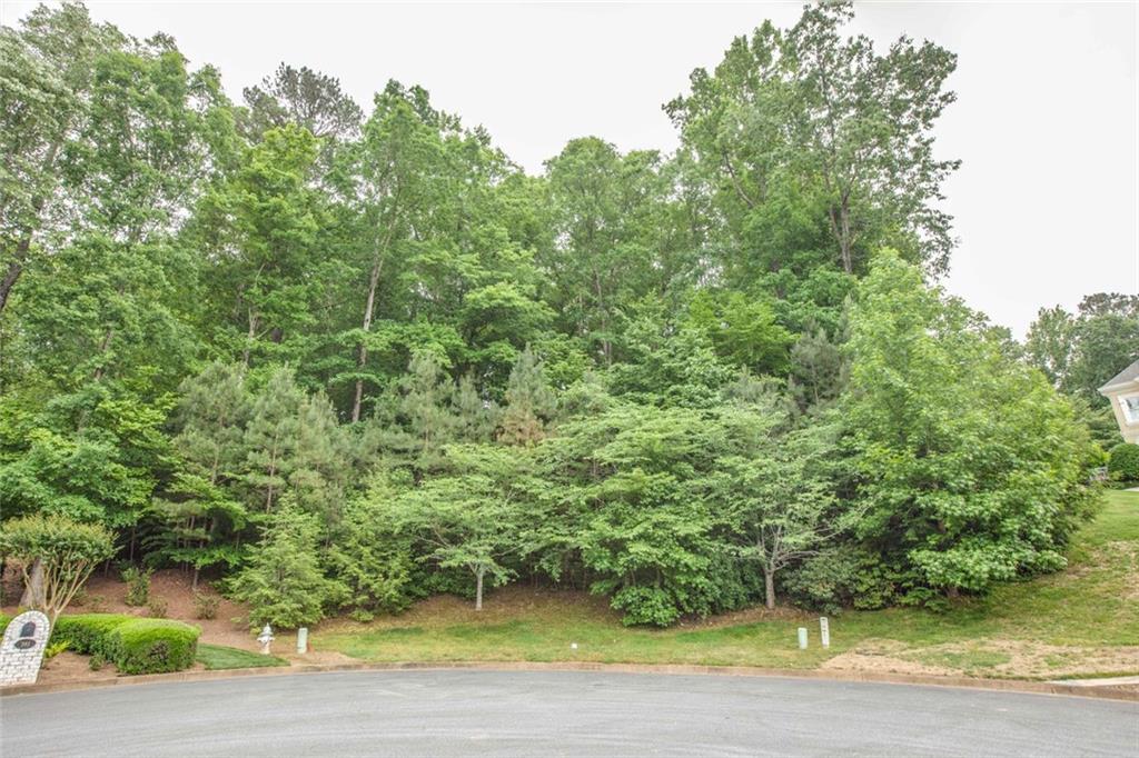 383 Caruso Court, Atlanta, Georgia image 4