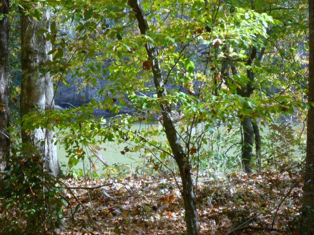 383 Caruso Court, Atlanta, Georgia image 12