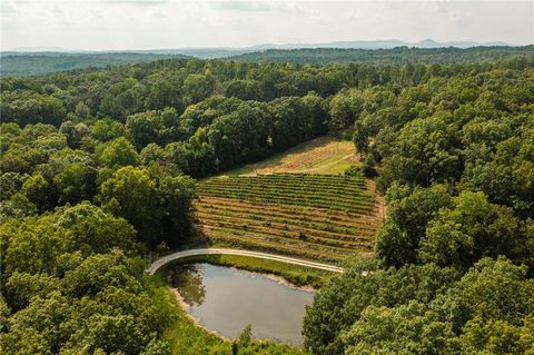 Vacant Land For Sale - 9975 Ball Ground Highway<br/> Ball Ground, GA 30107