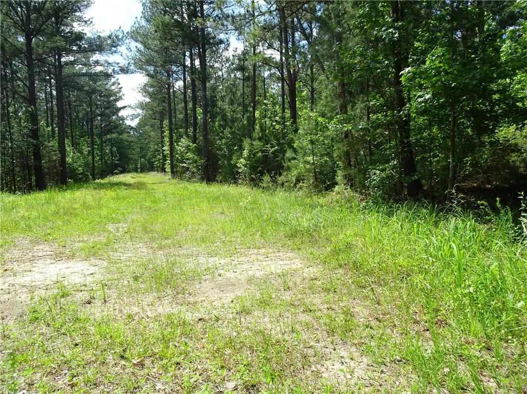 60+ AC Byrd And Townley Rds Road, Oxford, Georgia image 8