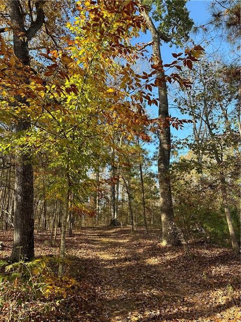 0 Theodore Cox Circle Canton GA 30114