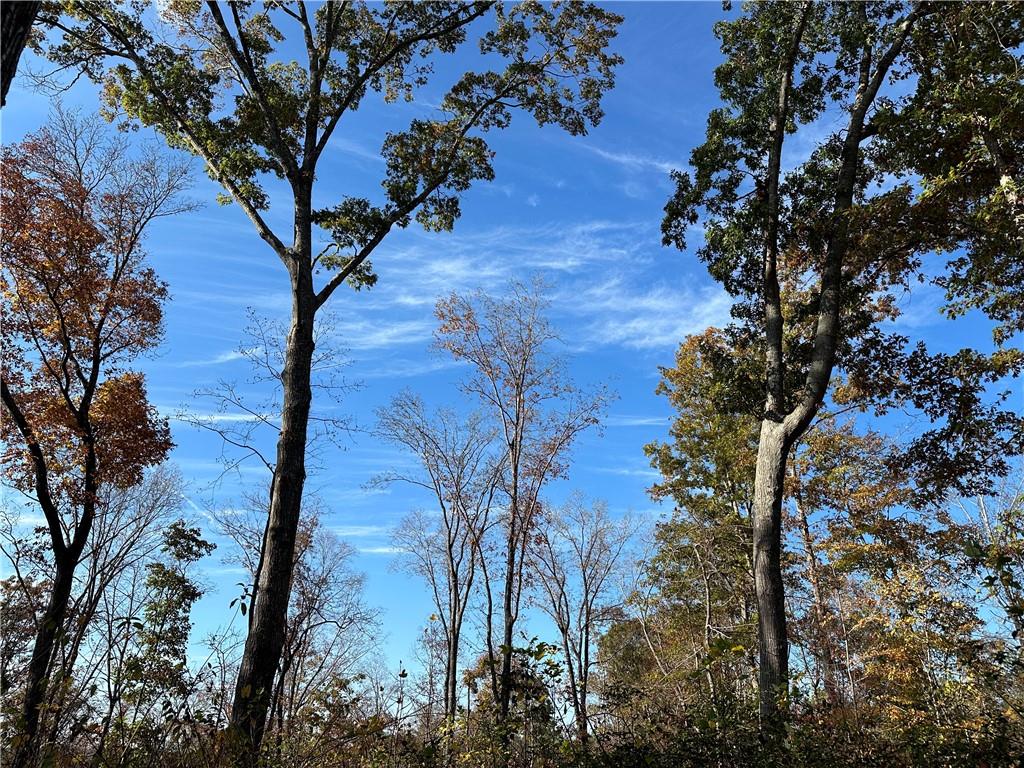 Theodore Cox Circle, Canton, Georgia image 6