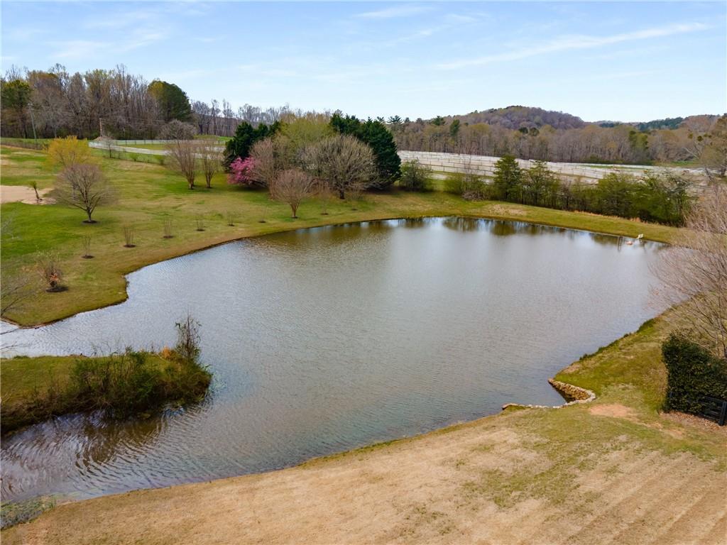 9365 Old Preserve Trail, Ball Ground, Georgia image 45