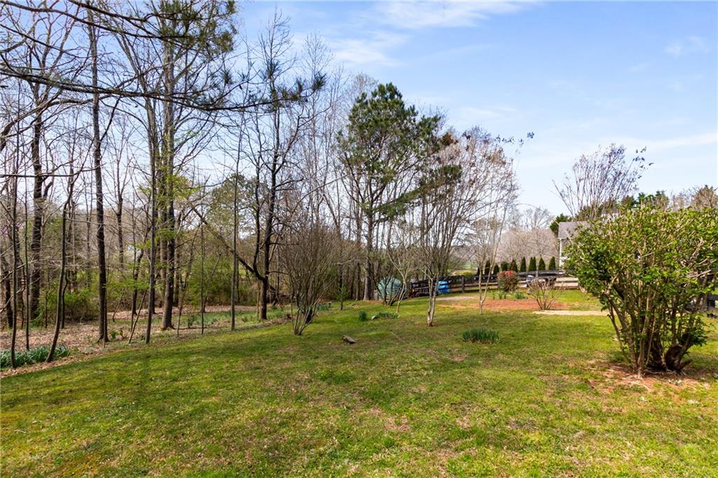 9365 Old Preserve Trail, Ball Ground, Georgia image 39