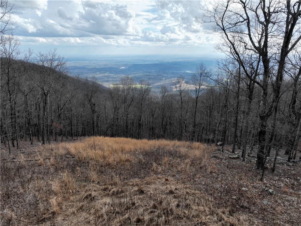 533 Old A T Approach Trail