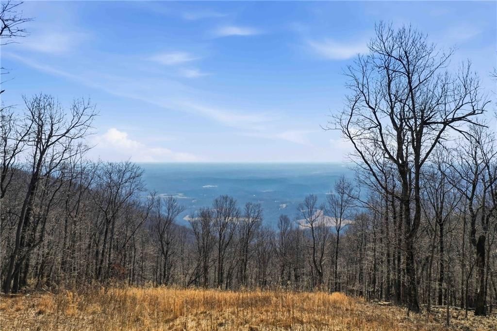 Photo of 533 Old A T Approach Trail, Jasper, GA 30143 (MLS # 7729068)