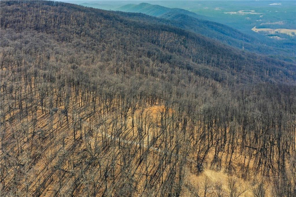 533 Old A T Approach Trail