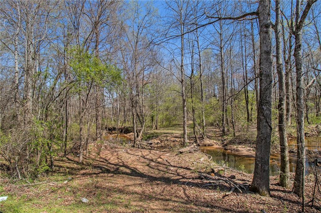 160 Glenmore Lane, Mcdonough, Georgia image 27