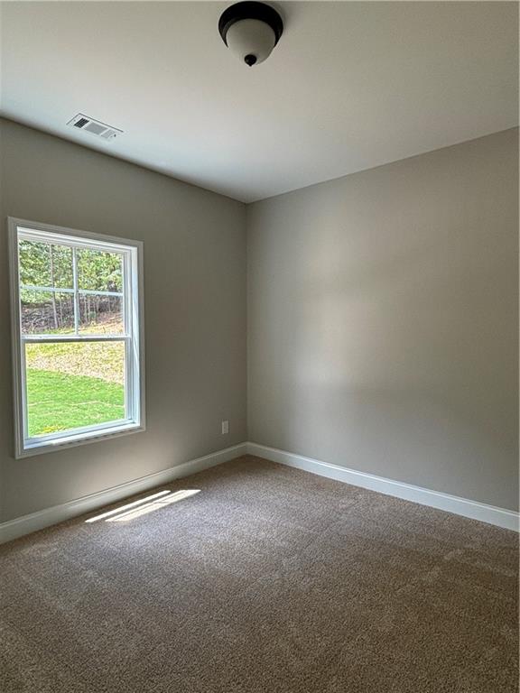 2753 Trebek Court, Mcdonough, Georgia image 16