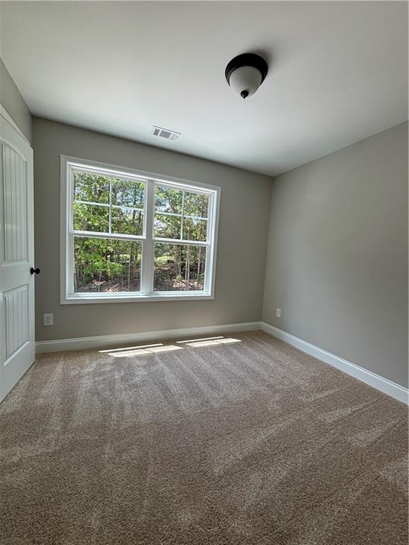 2753 Trebek Court, Mcdonough, Georgia image 11